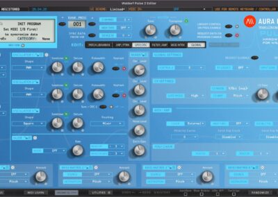 v250420-pulse-2-editor-limited-globals