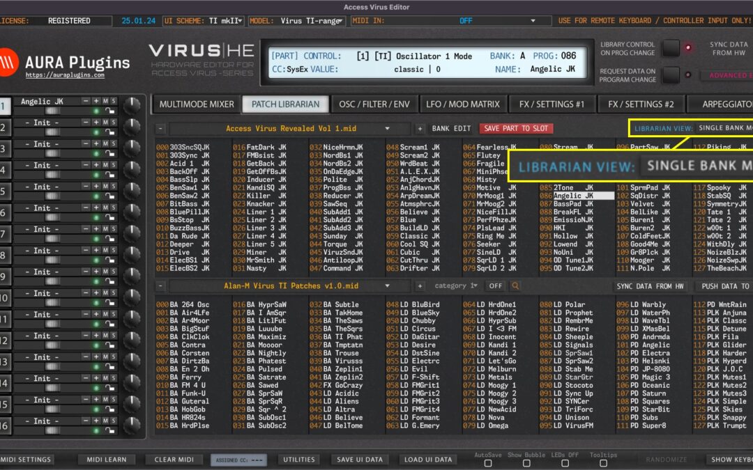 Access Virus Editor – Librarian Data Types